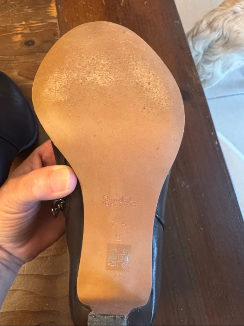 Coach Black Leather Pointed Toe Ankle Booties with Side Zip - Picture 4 of 6